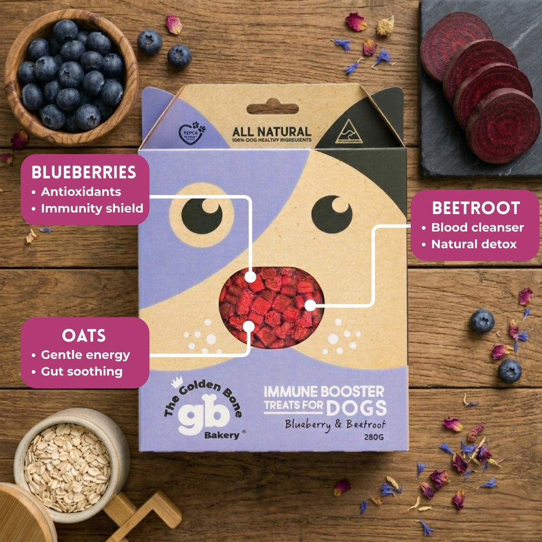 Immune Booster Dog Treats 280g