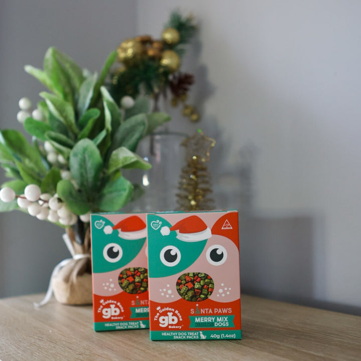 Dog Advent Calendar & Dog Christmas Treat Bundle