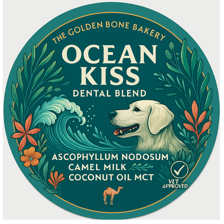 💙 Ocean Kiss