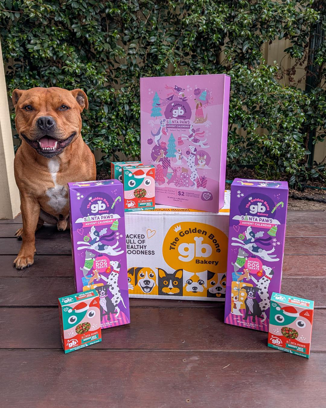 Advent Calendar Dog Treat Bundle