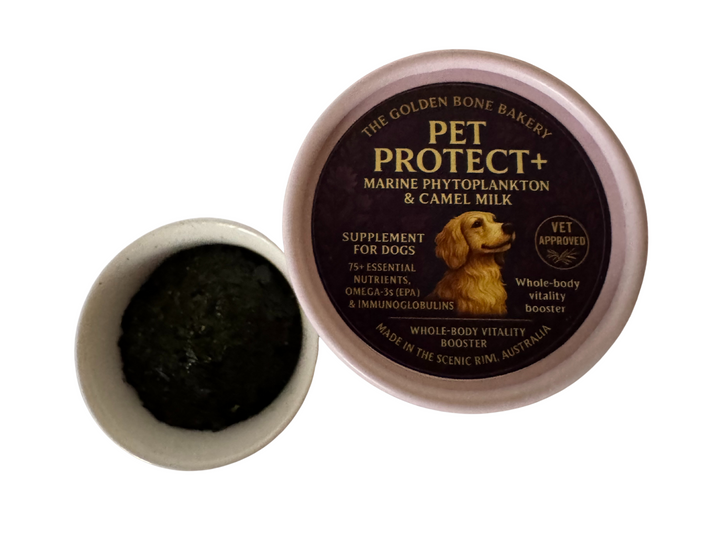 🛡️ Pet Protect+