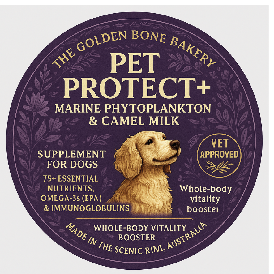 🛡️ Pet Protect+
