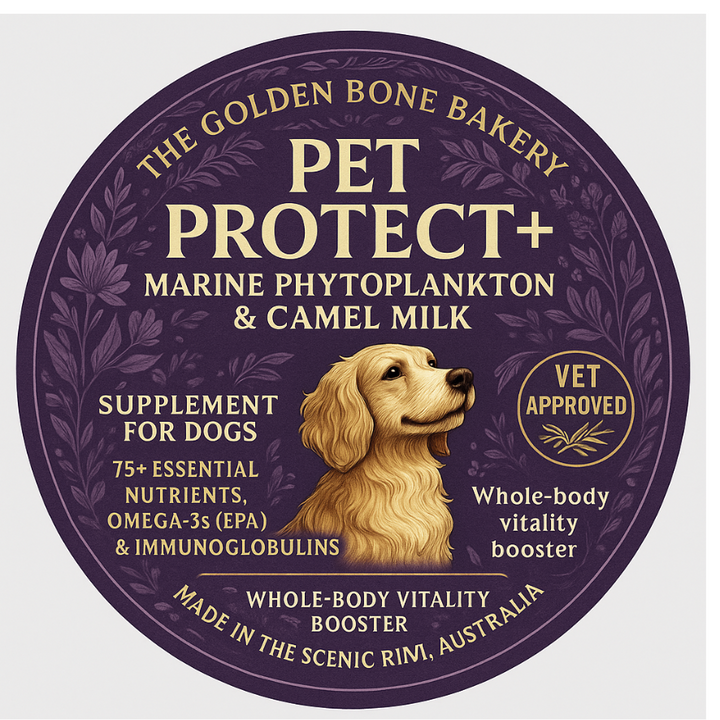 🛡️ Pet Protect+