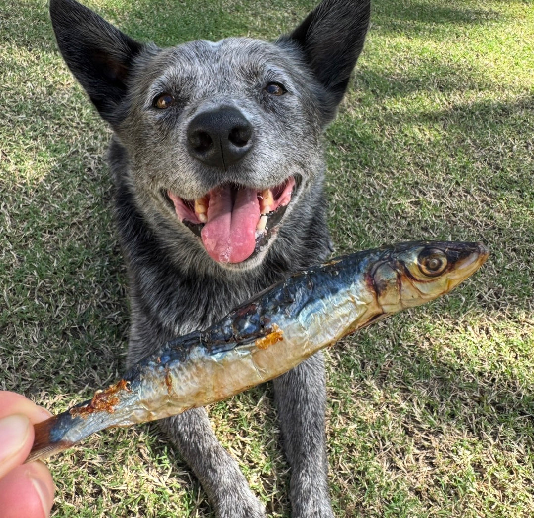 Fish Crispies - Fish Dog Treats 200g