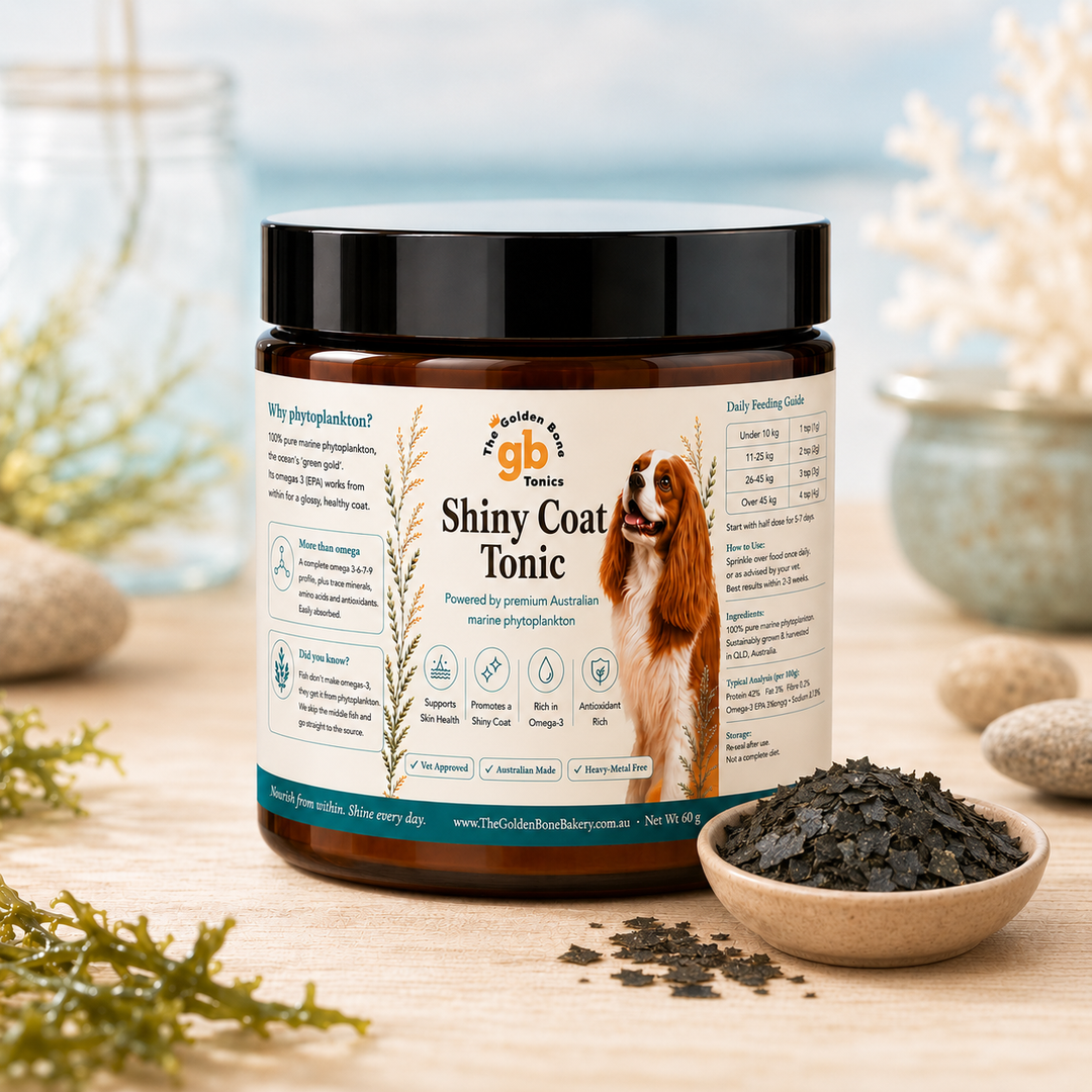 Shiny Coat Tonic | Marine Phytoplankton | Skin & Coat Supplement for Dogs