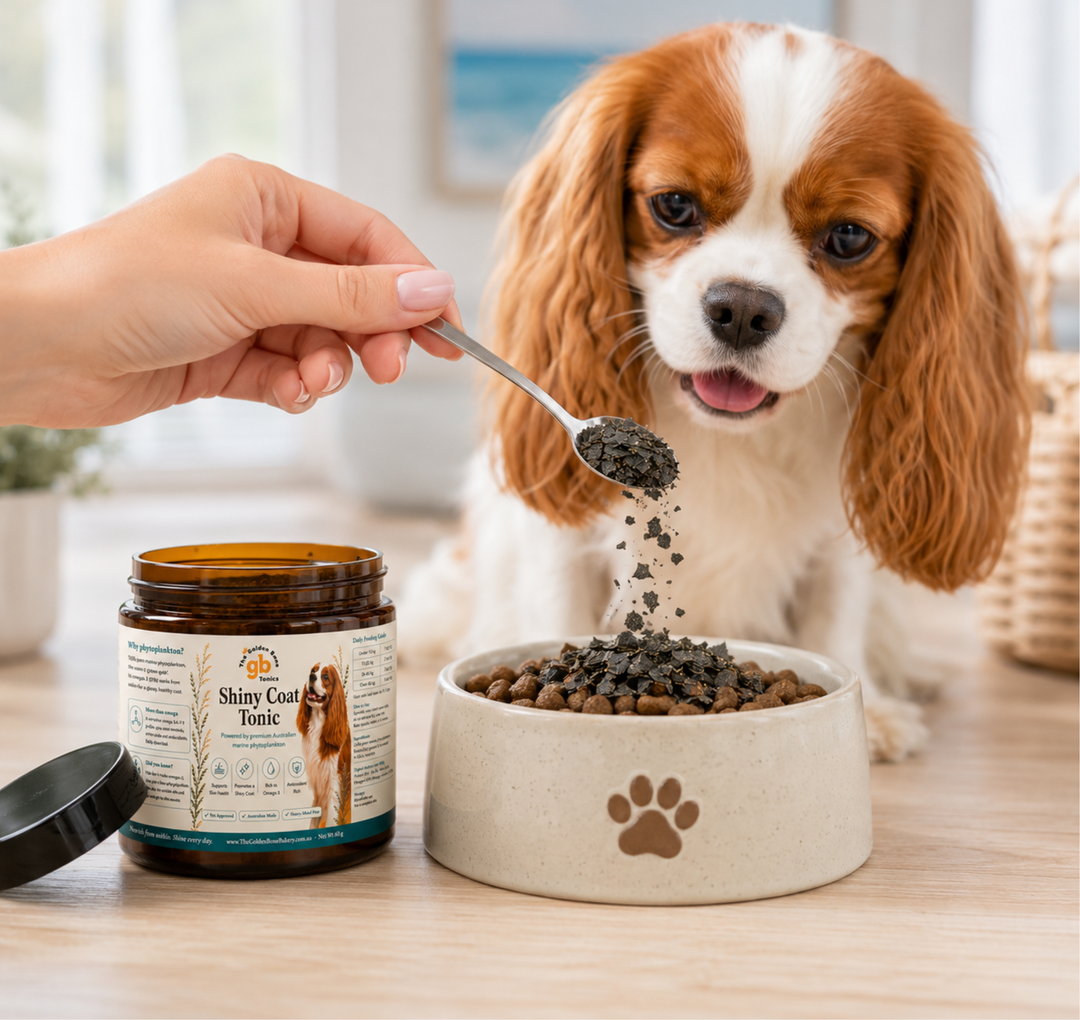 Shiny Coat Tonic | Marine Phytoplankton | Skin & Coat Supplement for Dogs