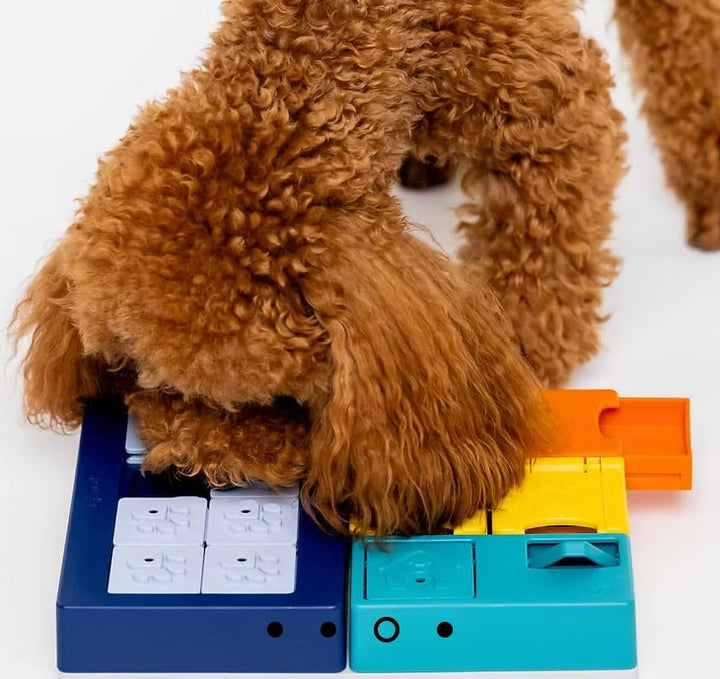 Pawzler Smarty Set - Premium