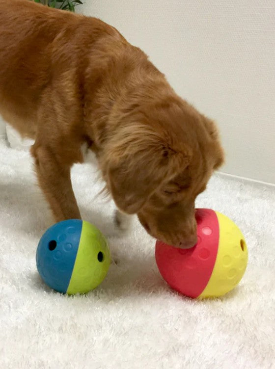 Dog Treat Tumble by Nina Ottosson Level 1