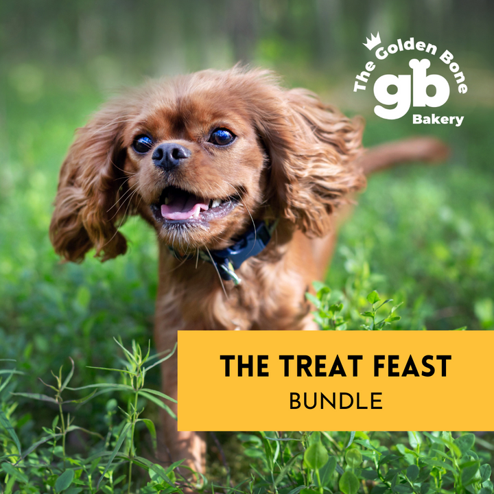 Dog Treat Feast Bundle