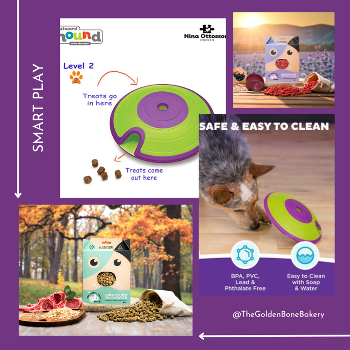 Dog Treat Maze by Nina Ottosson Level 2