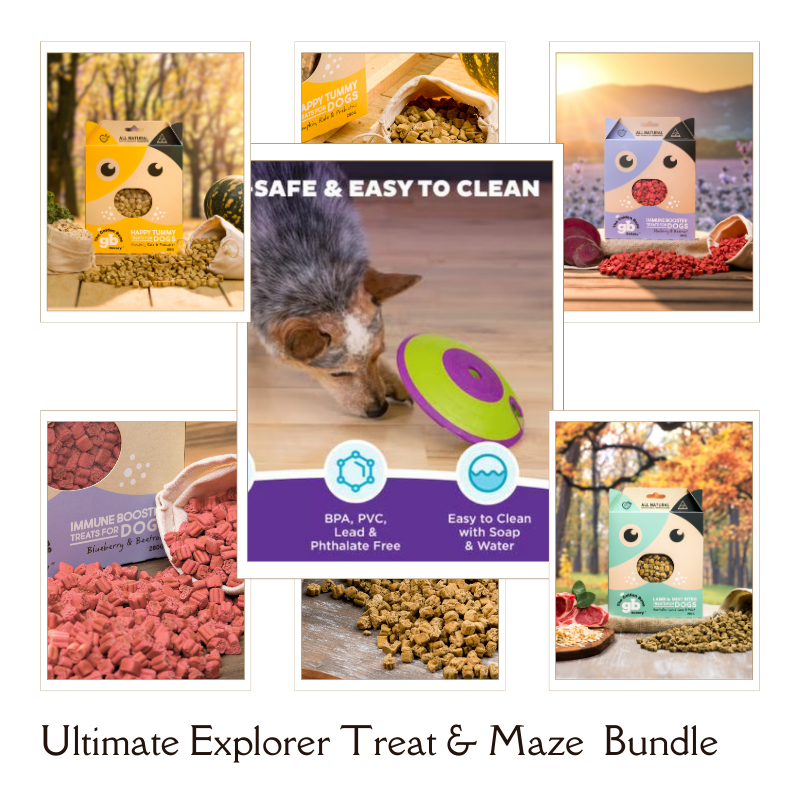 Dog Treat Maze by Nina Ottosson Level 2