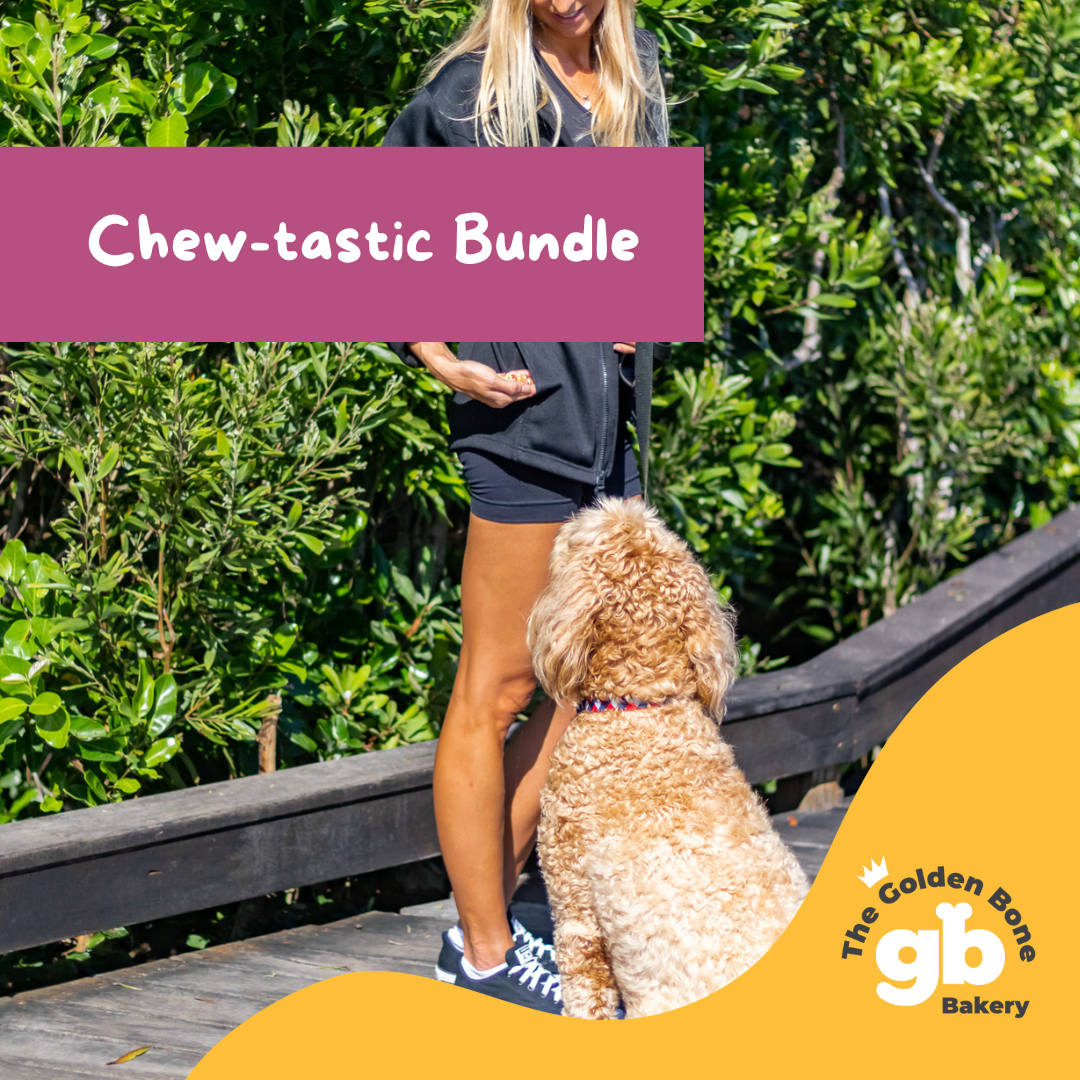 Chew-tastic Dog Treats Bundle