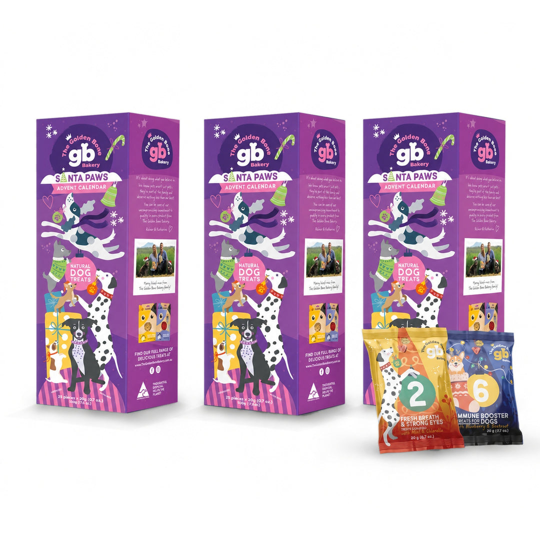 Dog Advent Calendar Tower - SAVE 20% PRE-ORDER July 2026 | Christmas Gift for Dogs