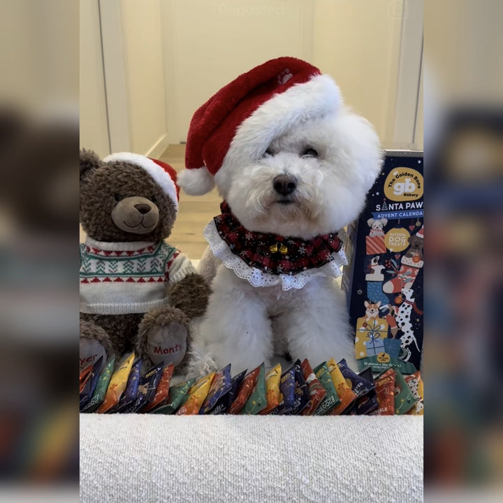 Dog Advent Calendar Tower - SAVE 20% PRE-ORDER July 2026 | Christmas Gift for Dogs