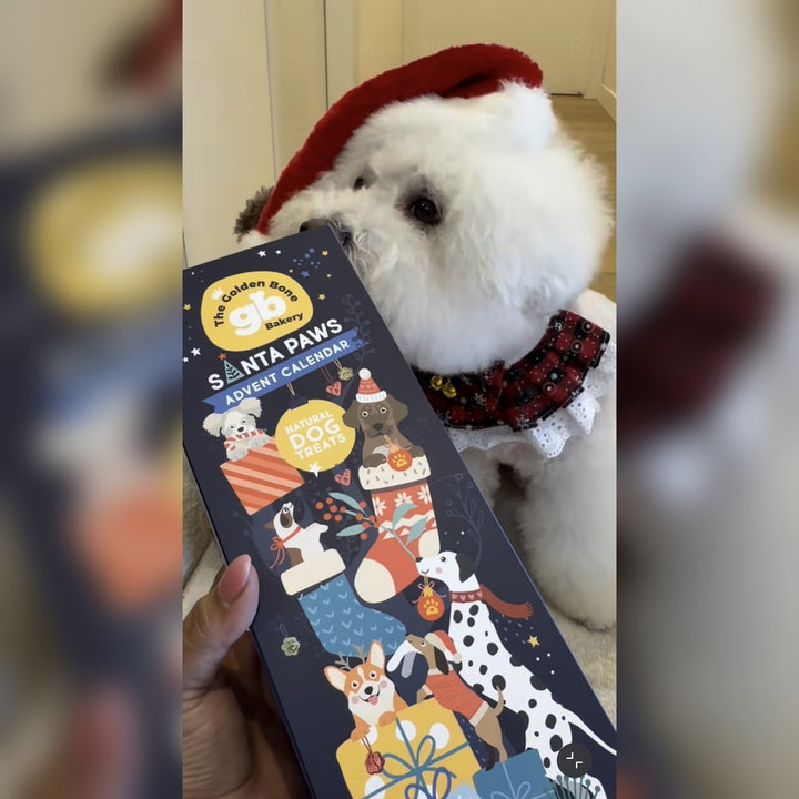 Dog Advent Calendar Tower - SAVE 20% PRE-ORDER July 2026 | Christmas Gift for Dogs