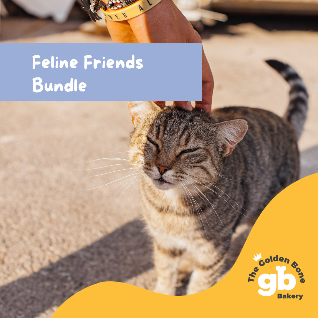 Feline Friends Bundle