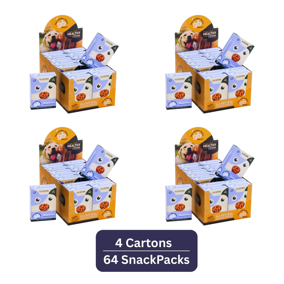 Immune Booster Dog Treats SnackPacks 40g