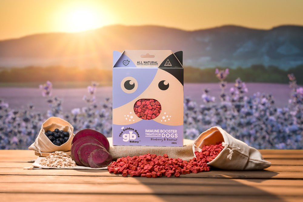 Buy Immune Booster Dog Treats with Blueberries at The Golden Bone Bakery