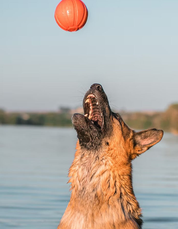 Liker Ball (Best Ball EVER!)