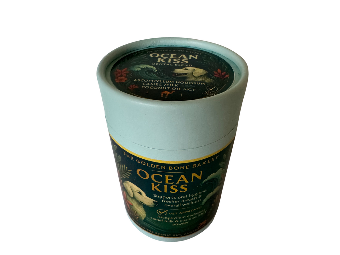 💙 Ocean Kiss
