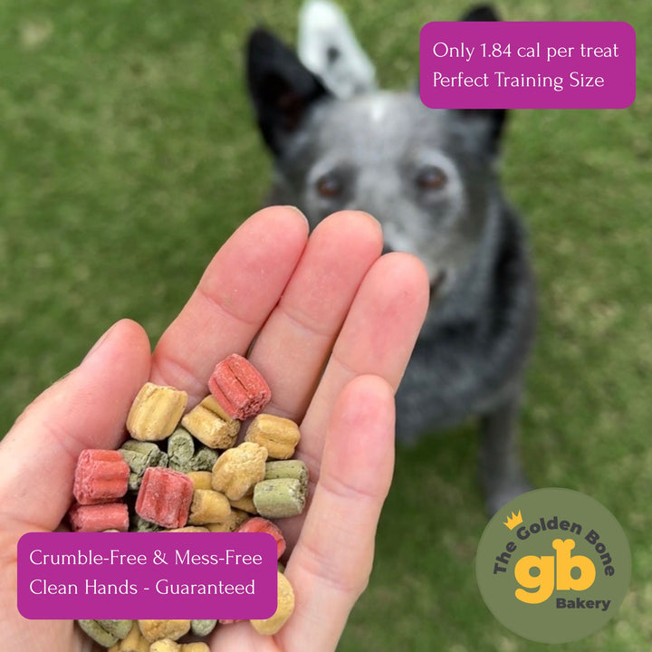 Hand holding multiple The Golden Bone Bakery 3 Flavour Party Mix dog treats showing perfect small training treat size no crumble no oil