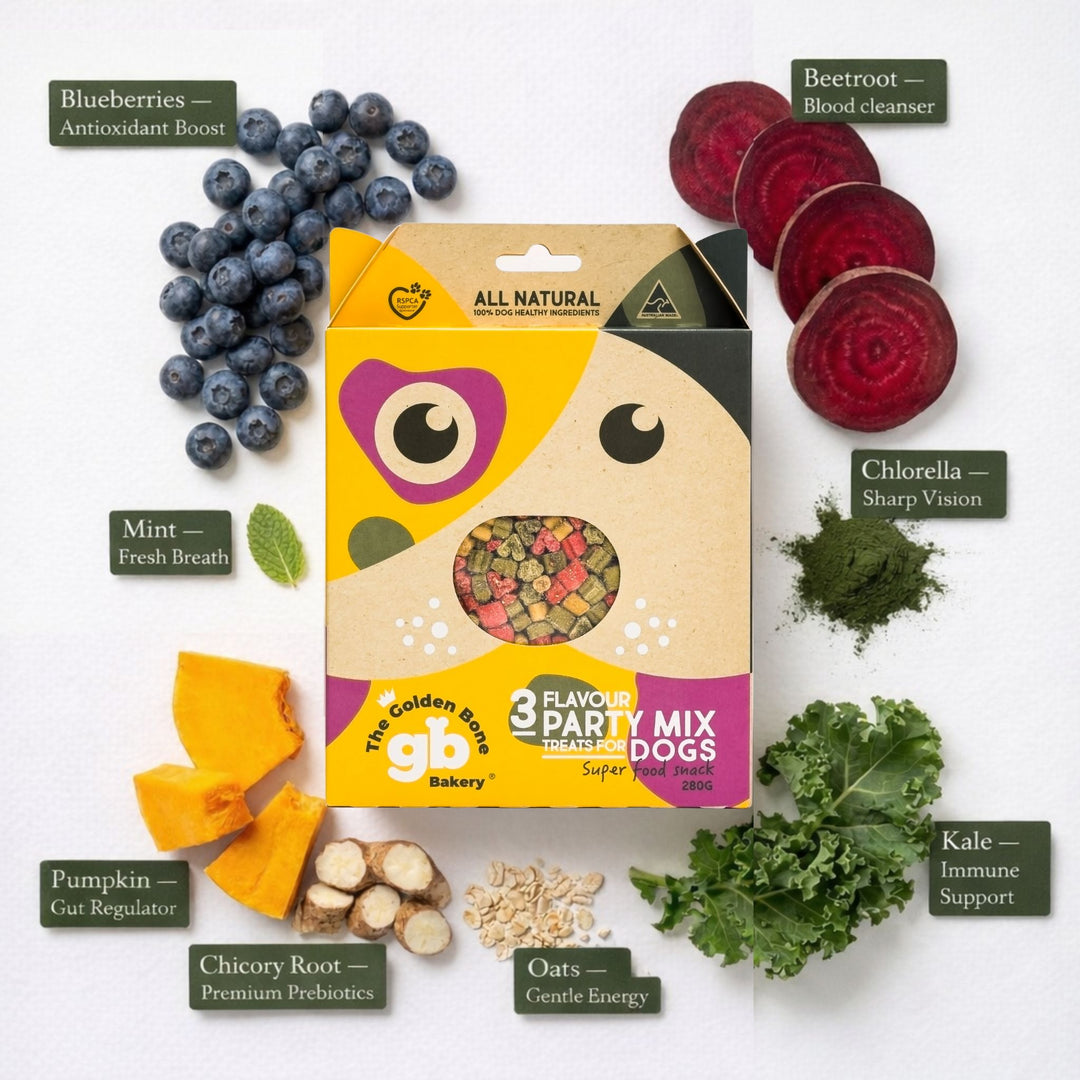 The Golden Bone Bakery 3 Flavour Party Mix dog treats with superfood ingredient benefits including blueberries antioxidant boost beetroot blood cleanser chlorella sharp vision kale immune support pumpkin gut regulator mint fresh breath oats gentle energy chicory root premium prebiotics
