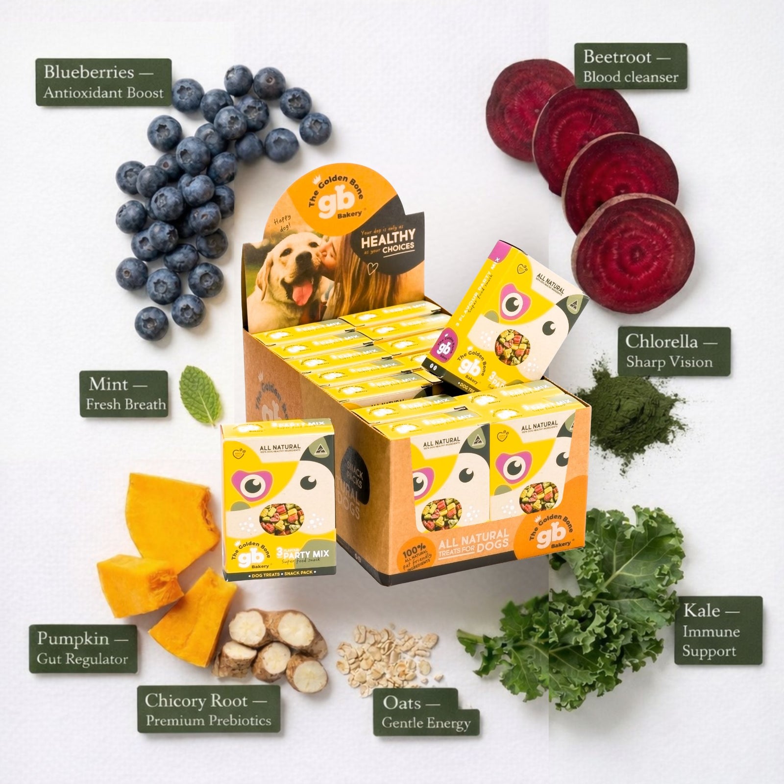 The Golden Bone Bakery 3 Flavour Party Mix Snack Pack 40g point of sale carton display surrounded by fresh superfoods blueberries antioxidant boost beetroot blood cleanser chlorella sharp vision mint fresh breath pumpkin gut regulator chicory root premium prebiotics kale immune support oats gentle energy all natural dog treats Australian made