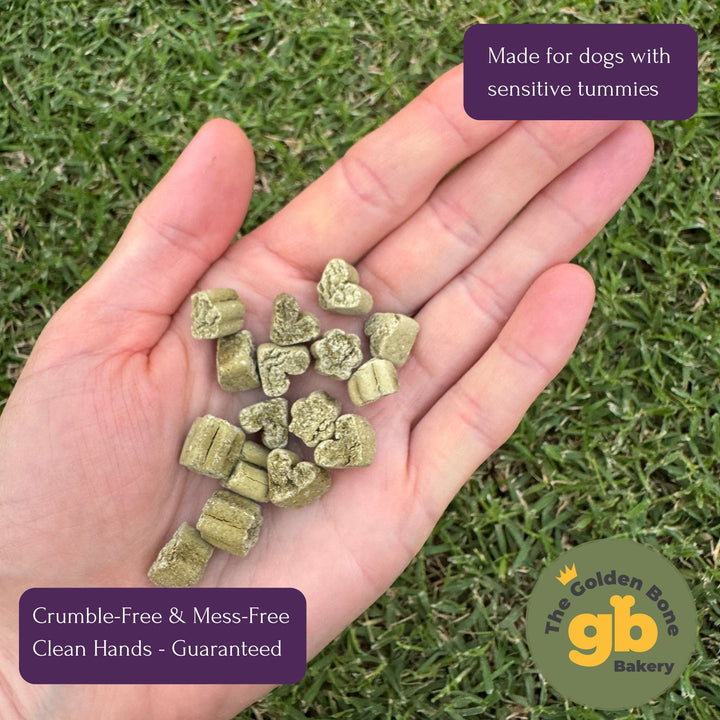 Hand holding multiple The Golden Bone Bakery Fresh Breath and Strong Eyes dog treats showing perfect small training treat size only 1.84 cal per treat no crumble no oil