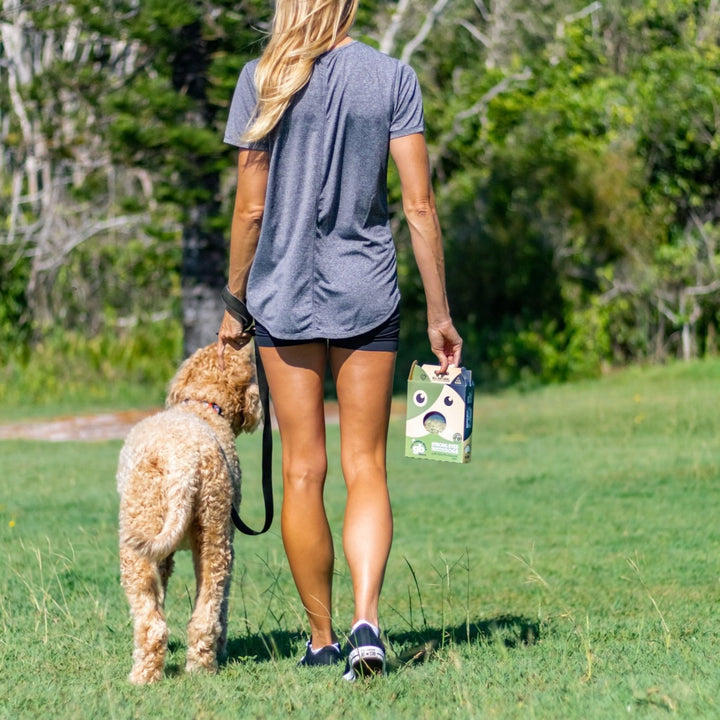 Woman walking Groodle on leash in park carrying The Golden Bone Bakery Fresh Breath and Strong Eyes mint and chlorella dog treats 280g all natural Australian made