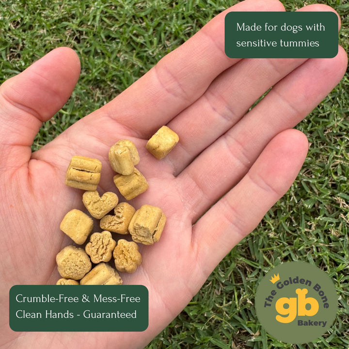 Hand holding multiple The Golden Bone Bakery Happy Tummy dog treats showing perfect small training treat size only 1.84 cal per treat no crumble no oil