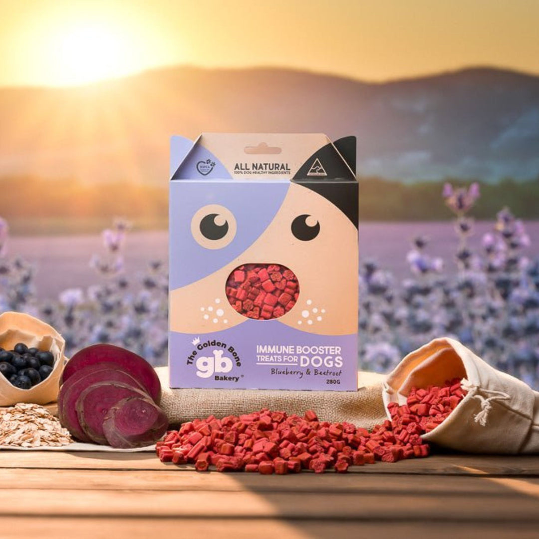 The Golden Bone Bakery Immune Booster blueberry and beetroot dog treats 280g styled with fresh blueberries sliced beetroot rolled oats and loose treats spilling from linen bag against lavender field golden hour sunset all natural Australian made