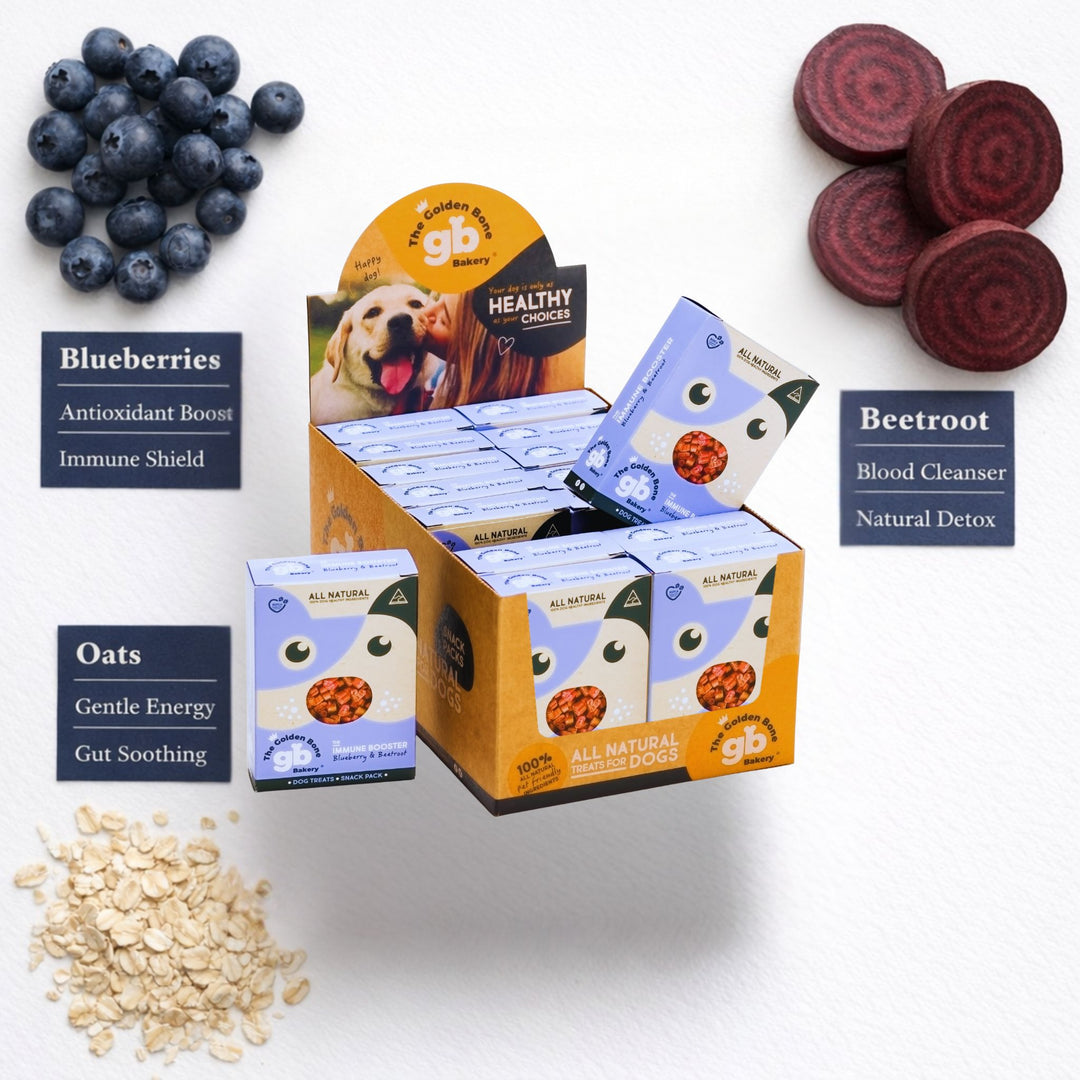 The Golden Bone Bakery Immune Booster Snack Pack 16 x 40g point of sale carton display with blueberries antioxidant boost immune shield beetroot blood cleanser natural detox oats gentle energy gut soothing Australian made all natural dog treats