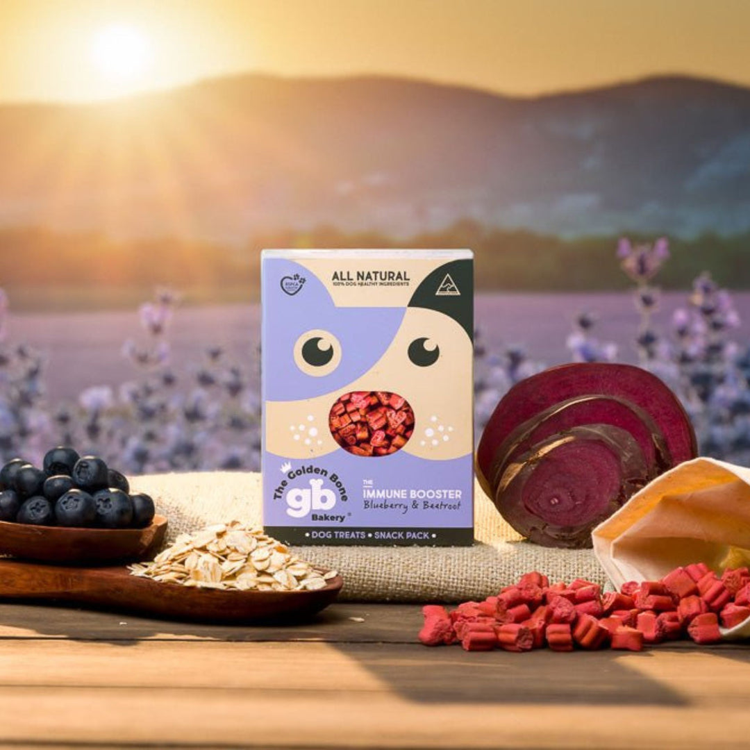 The Golden Bone Bakery Immune Booster Snack Pack 40g blueberry and beetroot all natural dog treats styled with fresh blueberries sliced beetroot and rolled oats at golden hour Australian made