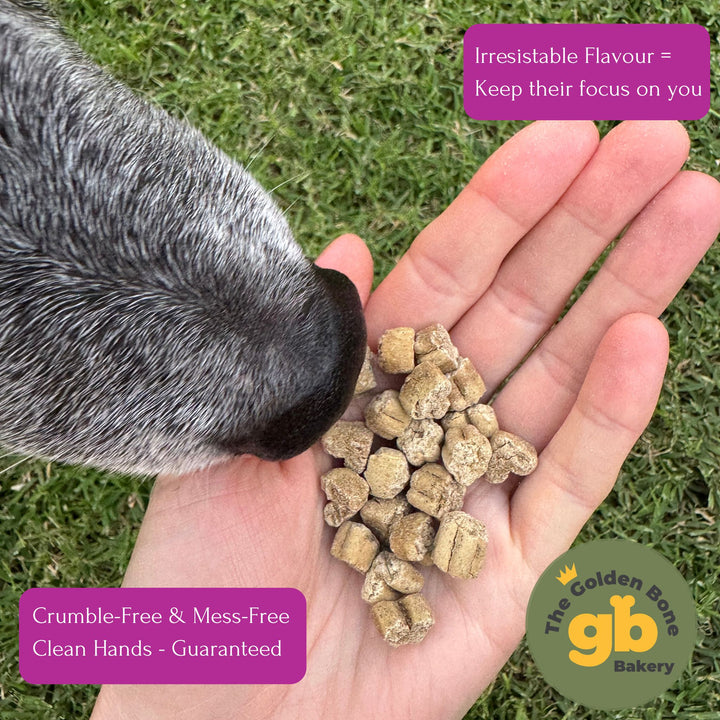 Hand holding multiple The Golden Bone Bakery Lamb and Mint Bites dog treats showing perfect small training treat size no crumble no oil pocket friendly