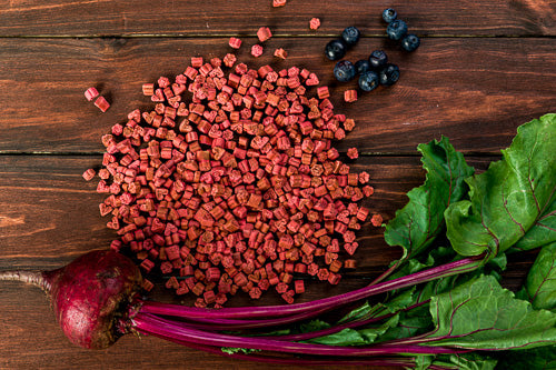 Immune Booster Treats with Blueberries